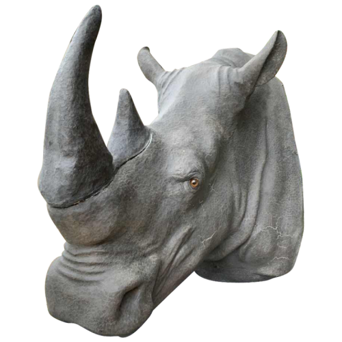 Trophée RHINOCEROS, taille réelle 120cm, Polyester / Plâtre, Réplique Taxidermie