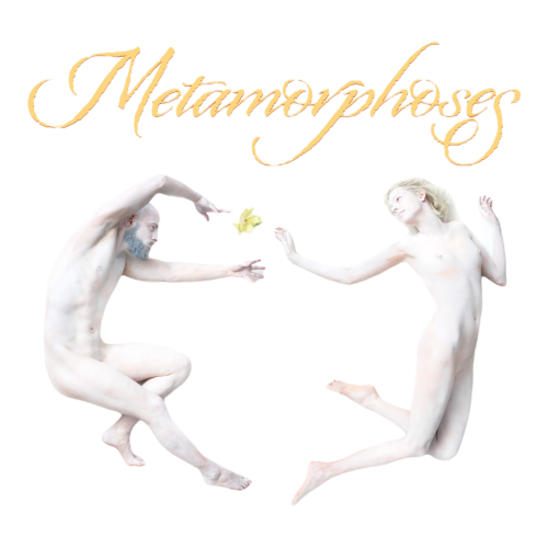 Métamorphoses" exhibition by photographer Bart Ramakers at "La Galerie La Mirande" in Namur.